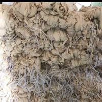 金彩-叶生【商家动态-商家店铺】